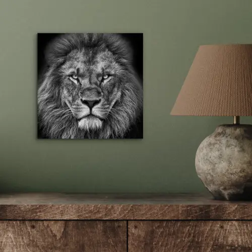Dieren - Leeuw - Zwart - Wit - Portret aluminium wit klein -sfeer2