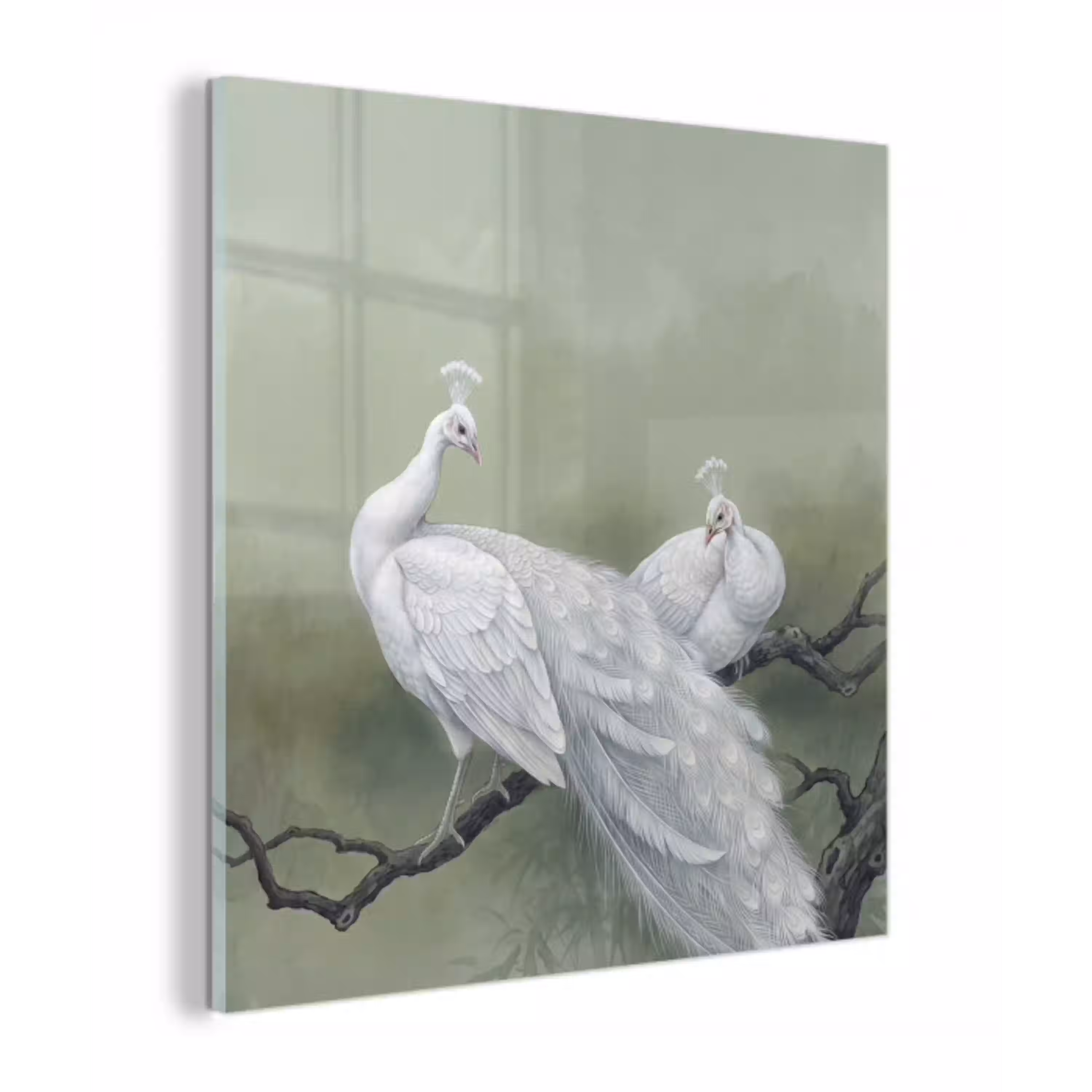Pauwen - Wit - Natuur - Groen plexiglas 5mm klein -z3d