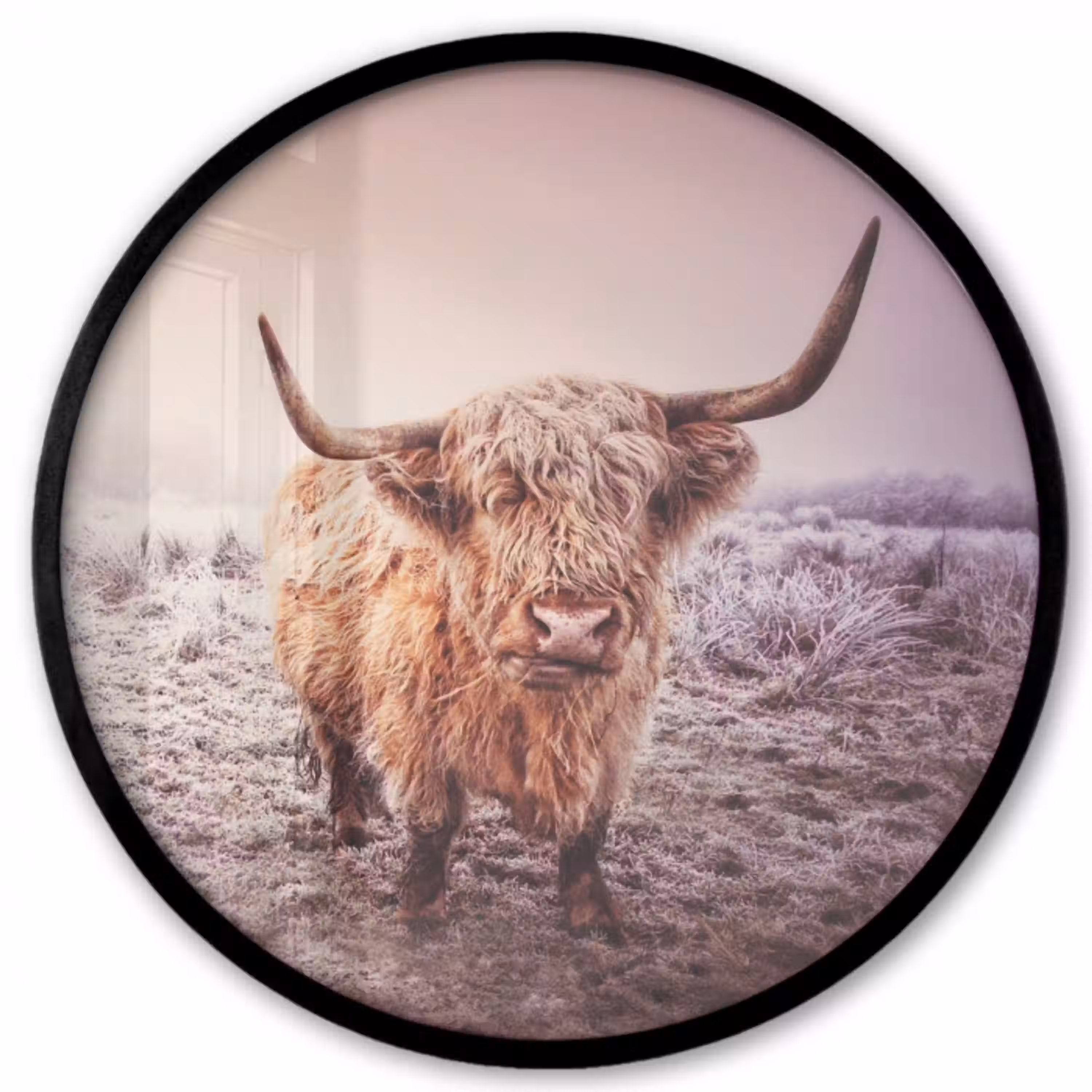 Schotse hooglanders - Licht - Lucht - Natuur Fotolijst rond zonder passe partout klein -3d
