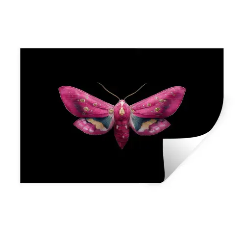 Vlinder - Roze - Nachtvlinder Muursticker klein -3d