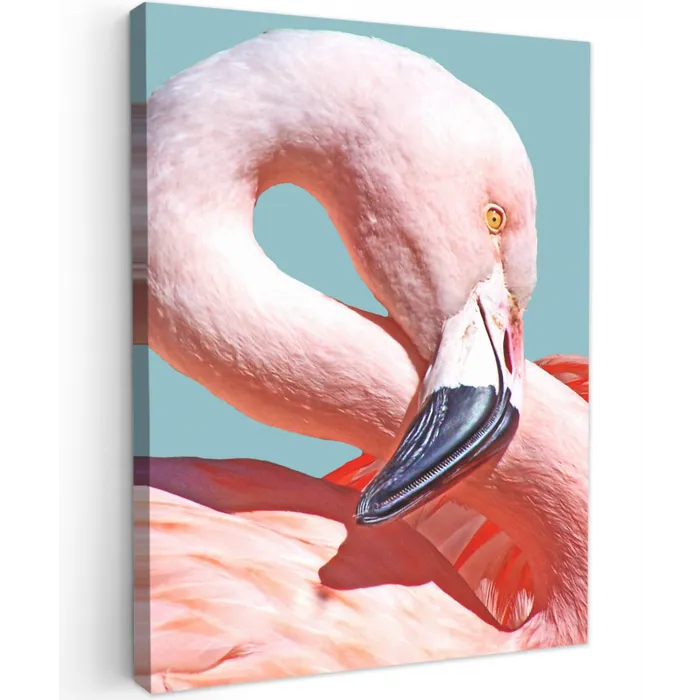 Close-up flamingo Tuinposter op houten frame 2 cm dik klein -3d