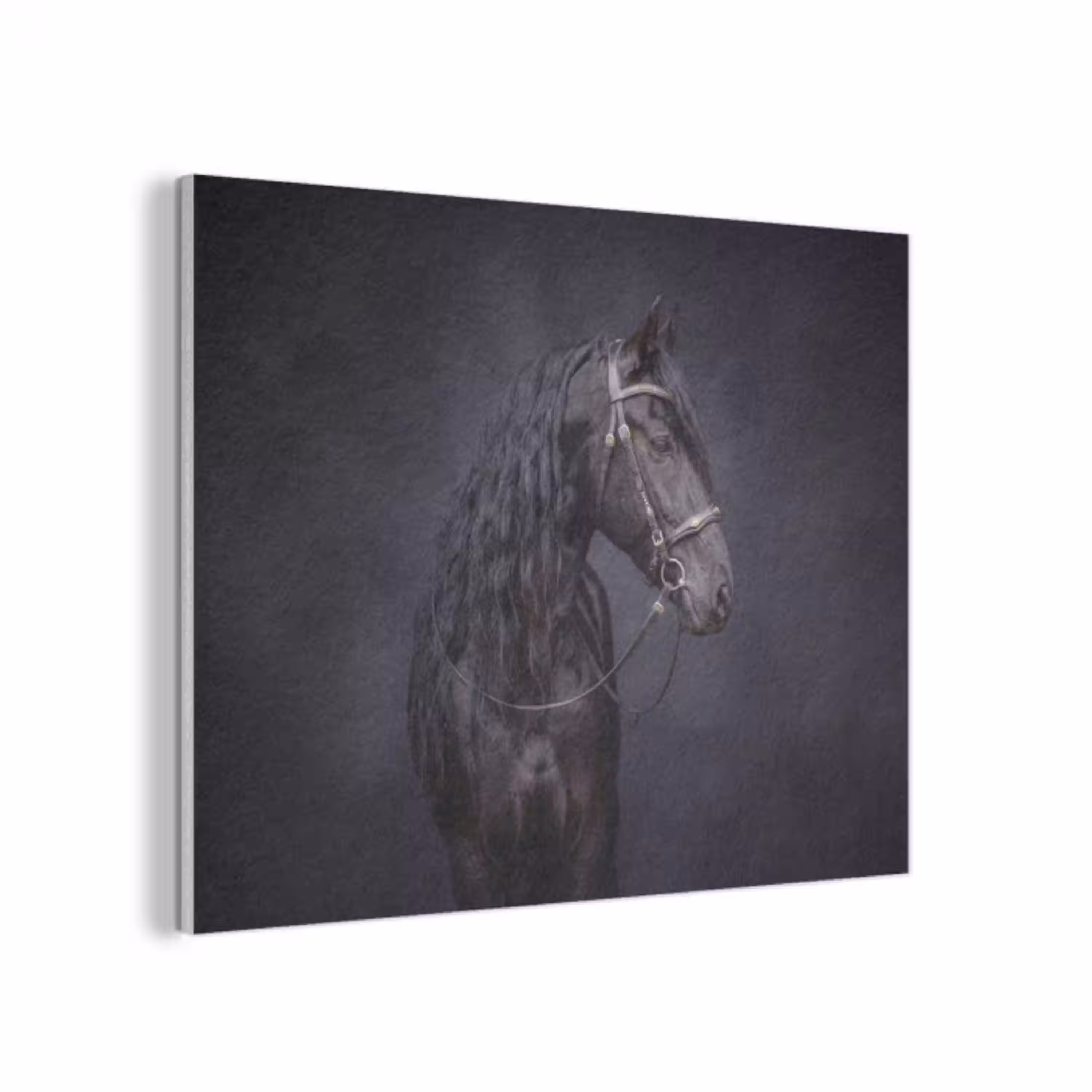 Portret - Paard - Donker PET vilt klein -3d