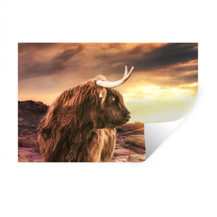 Schotse hooglander - Zon - Horizon - Koe - Dieren Muursticker klein -3d