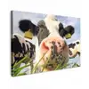 Koe - Boerderij - Gras - Dieren canvas 2cm klein -z3d