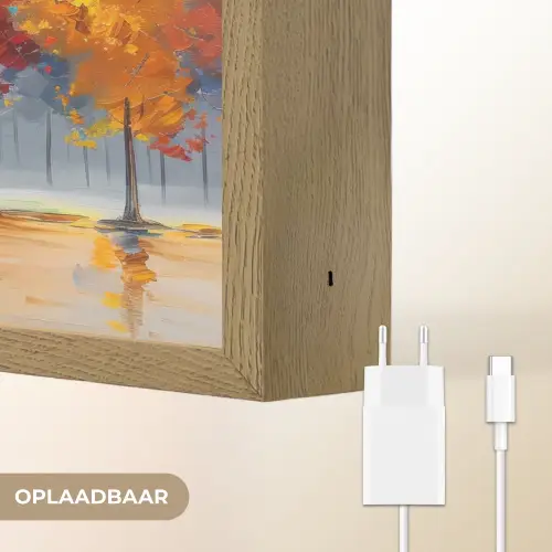 Bomen - Kleurrijk - Natuur - Abstract Light Box met batterij (Wandlamp) middel -USP_websiteoplaadbaarNL
