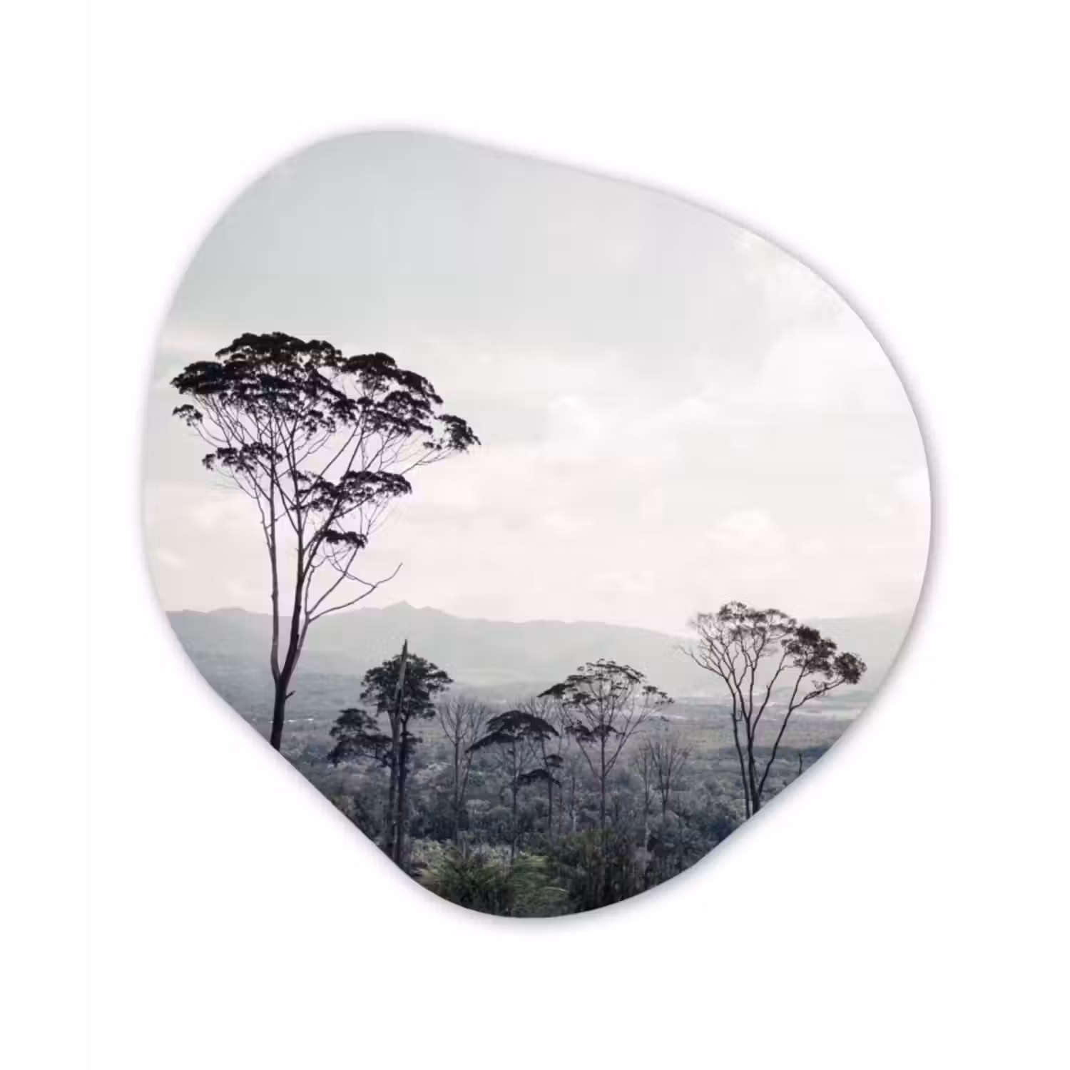 Organische Formen – Aluminium – Bomen - Lucht - Natuur