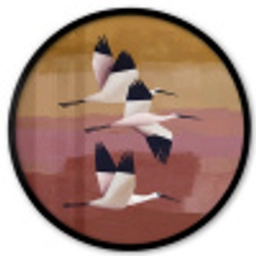 Vogels - Snavel - Abstract Fotolijst rond zonder passe partout klein -3d