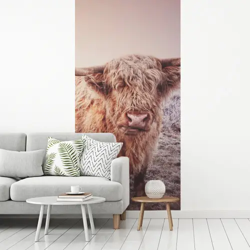 Schotse hooglanders - Licht - Lucht - Natuur fotobehang vinyl groot -woonkamer