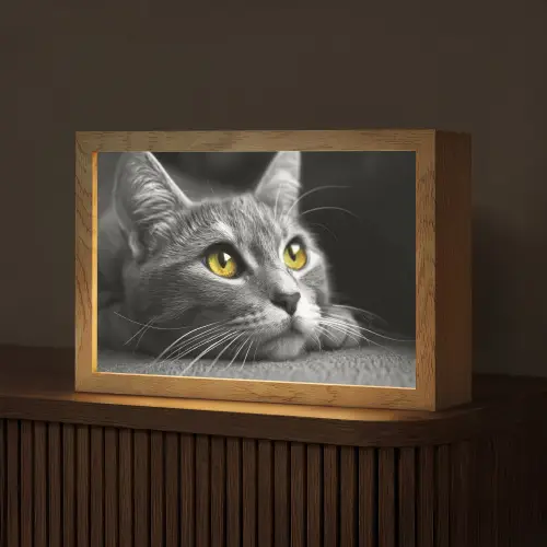 Kat - Zwart - Wit - Dieren - Natuur Light Box met kabel (Tafellamp) klein -z3d_website