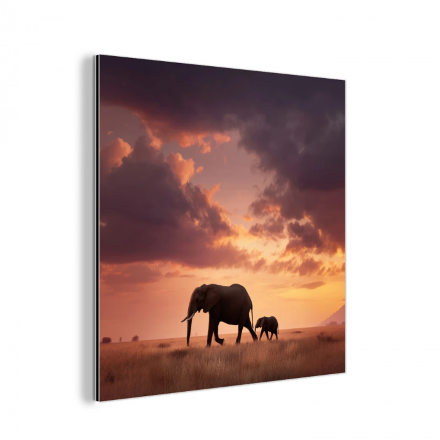 Olifanten - Grasland - Zonsondergang aluminium wit klein -3d