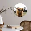 Schotse Hooglander -  Koe - Gras - Dieren - Natuur Wandcirkel behangsticker klein -sfeer3