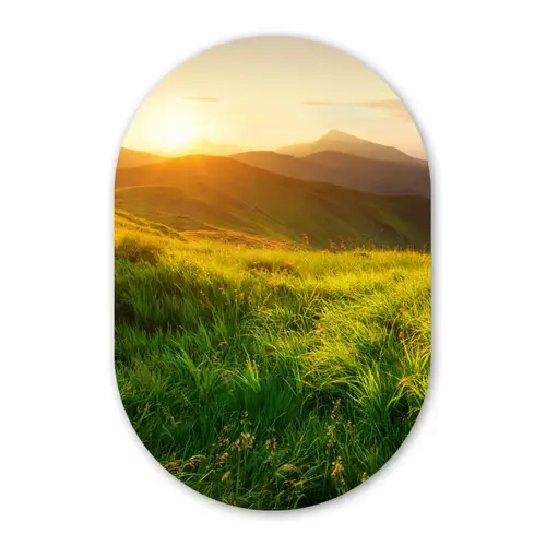 Gras - Heuvels - Zon - Natuur Wandcirkel Ovaal Forex klein -3d