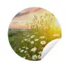 Bloemen - Madelief - Natuur - Zon - Horizon Wandcirkel tuinposter met ringen klein -3d