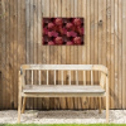 Koraal - Textuur - Kleurrijk Tuinposter op houten frame 2 cm dik klein 845 -sfeer4