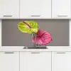 Planten - Anthurium - Groen - Roze keuken achterwand 2 middel -3d