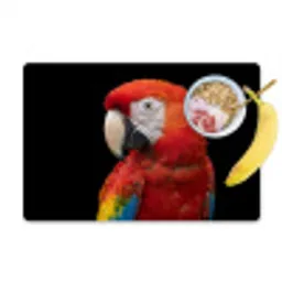 Ara - Portret - Rood Placemat vinyl groot -zzzproduct_Kitchenyeah-website