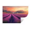 Lavendelveld - Quote - Zonsondergang Muursticker klein -3d