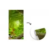 Jungle - Groen - Natuur - Tropisch - Planten fotobehang vinyl groot -3d