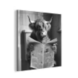 Schotse hooglander - Koe - Krant - WC - Zwart wit aluminium wit klein -3d