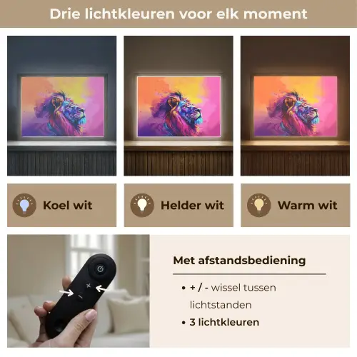 Leeuw - Verf- Kleuren - Dier Light Box met batterij (Wandlamp kind) middel -USP_lichtkleurNL