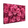 Rozen - Pink - Bloem canvas 2cm klein -z3d