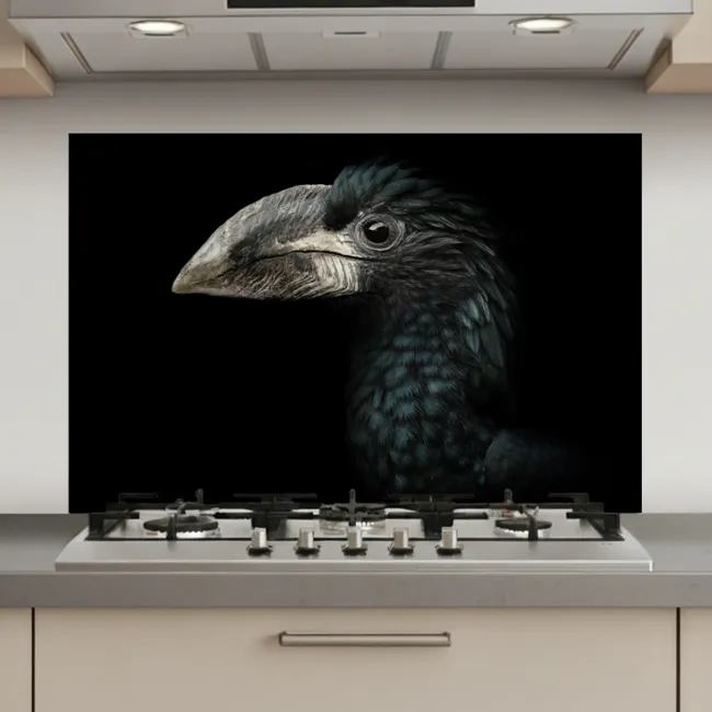Vogel - Portret - Neushoornvogel - Zwart - Dieren keuken achterwand spatscherm klein -3d_website