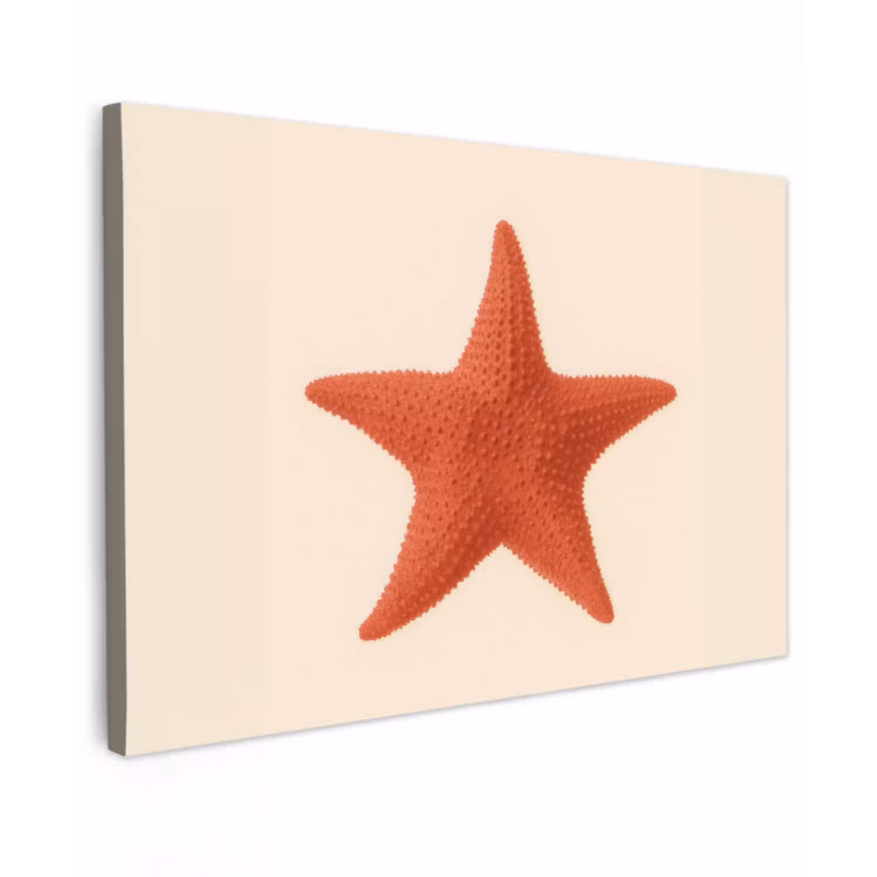 Zeester - Bobbels - Rood canvas 2cm klein -z3d