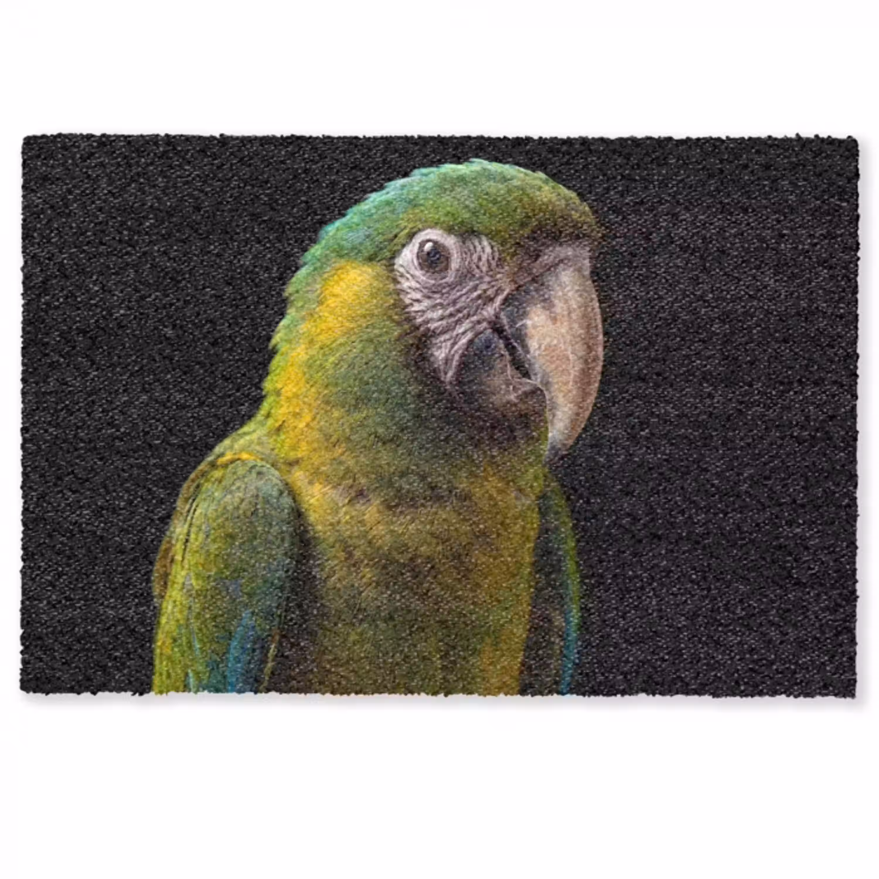 Ara - Portret - Groen Deurmat klein -zkaufland3d