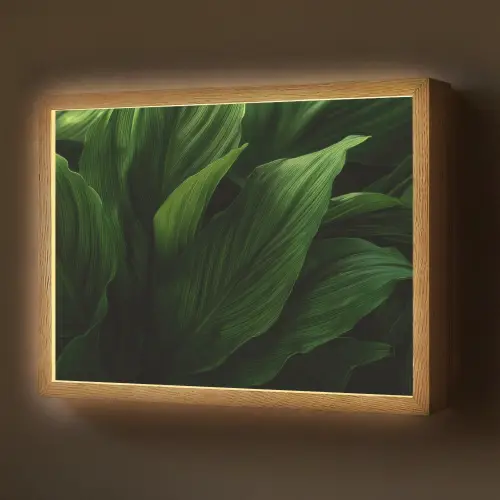 Bladeren - Schaduw - Groen - Textuur Light Box met batterij (Wandlamp) middel -z3d_website