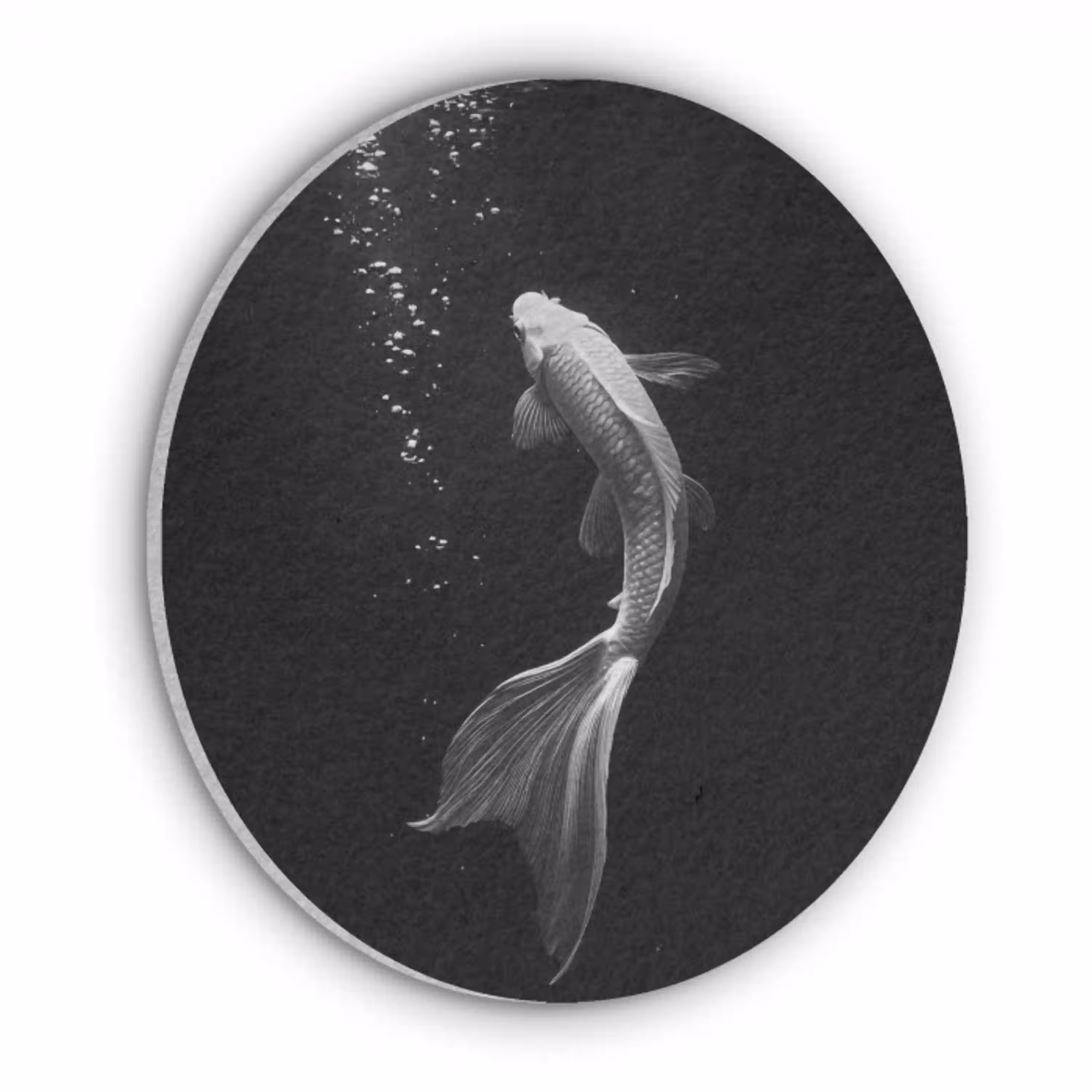Koi - Vis - Wit - Zwart Akoestische PET Vilt - Rond klein -3d