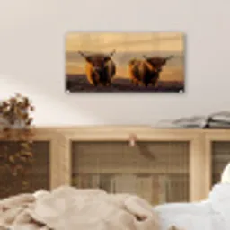 Schotse hooglanders - Heide - Landschap - Dieren plexiglas 5mm klein -sfeer4