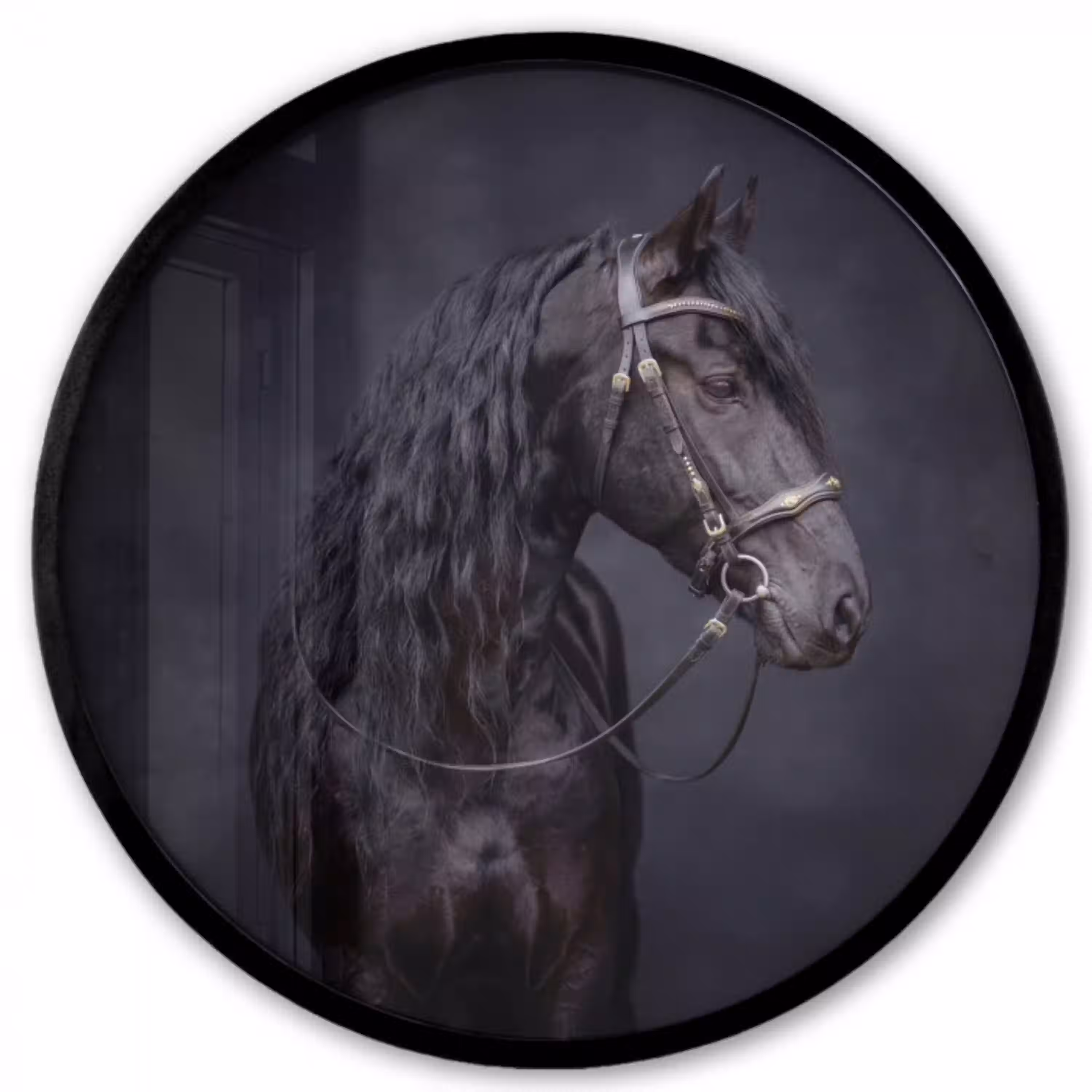 Portret - Paard - Donker Fotolijst rond zonder passe partout klein -3d