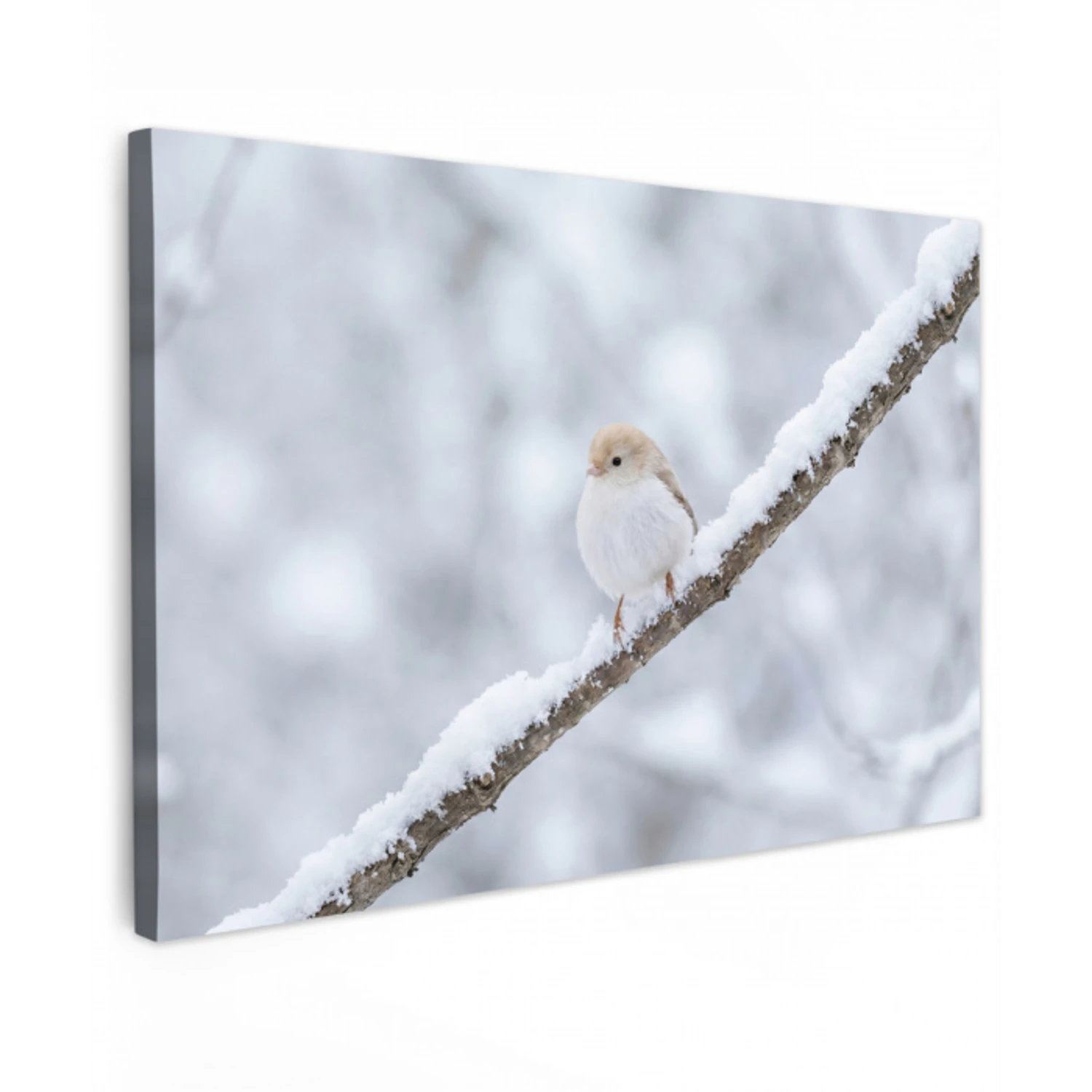 Vogeltje - Sneeuw - Tak - Winter - Zacht canvas 2cm klein -z3d