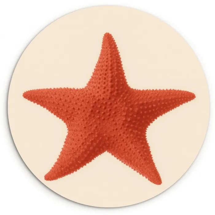 Zeester - Bobbels - Rood Wandcirkel kunststof plaat 5mm dik klein -3d