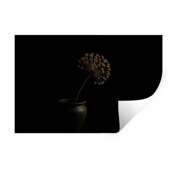 Bol - Gedroogd - Vaas - Zwart Muursticker klein -3d