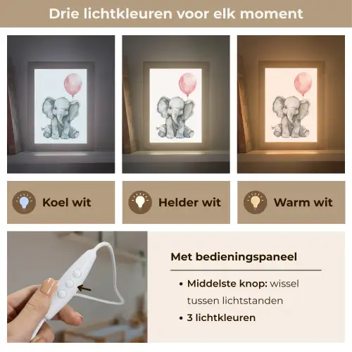 Olifant - Baby dier - Roze ballon Light Box met kabel klein -USP_lichtkleurNL