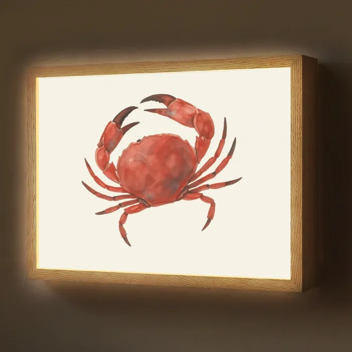 Krab - Felrood - Poten Light Box met batterij (Wandlamp) middel -z3d_website