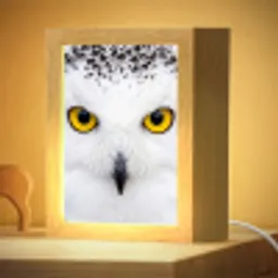 Sneeuwuil - Portret - Geel Light Box met kabel (Kinderlampje) klein -zzzz_3d_website