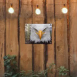 Amerikaans - Zeearend - Portret - Geel tuinposter los doek klein -sfeer1