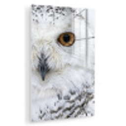 Sneeuwuil - Oog - Wildlife - Wit plexiglas 5mm klein -zzzproduct_nieuw