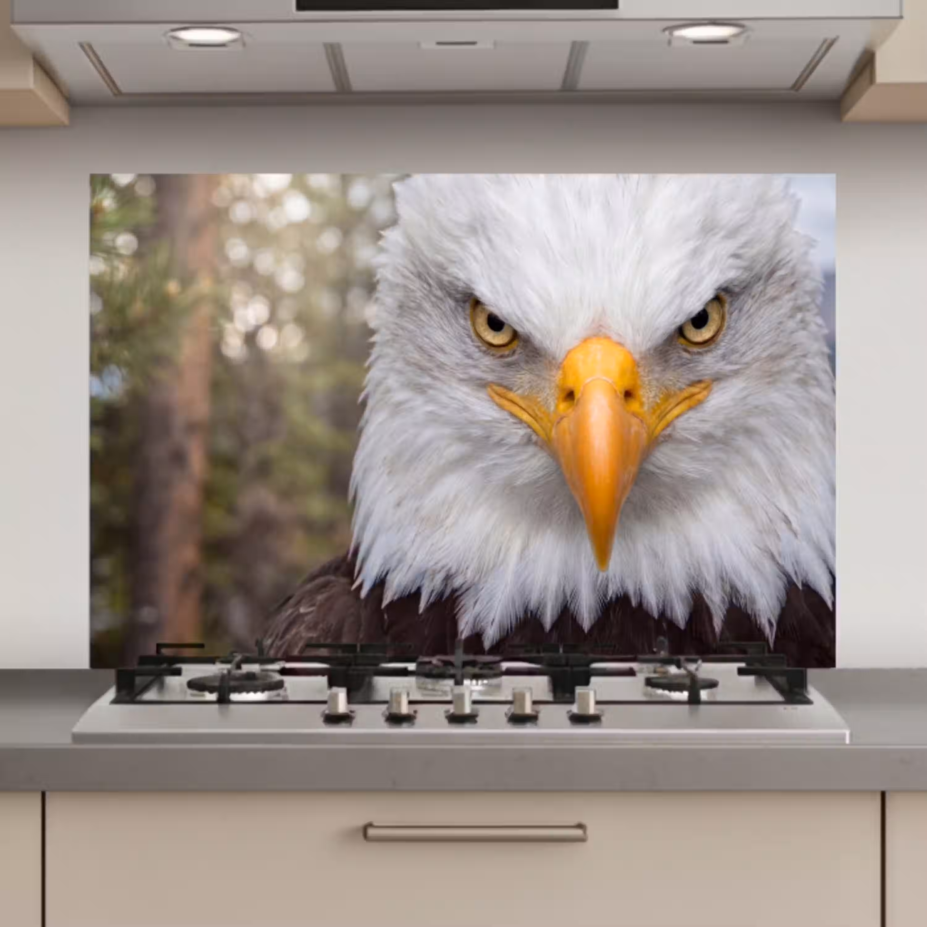 Amerikaans - Zeearend - Portret - Geel keuken achterwand spatscherm klein -3d_website