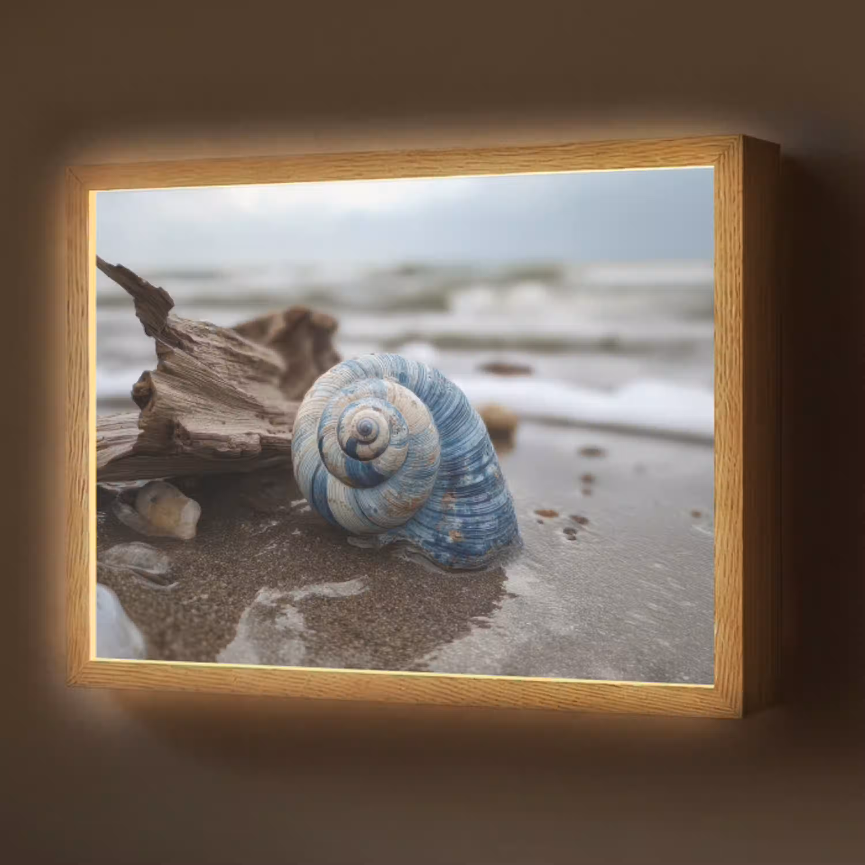 Schelp - Strand - Blauw - Zee Light Box met batterij (Wandlamp) middel -z3d_website