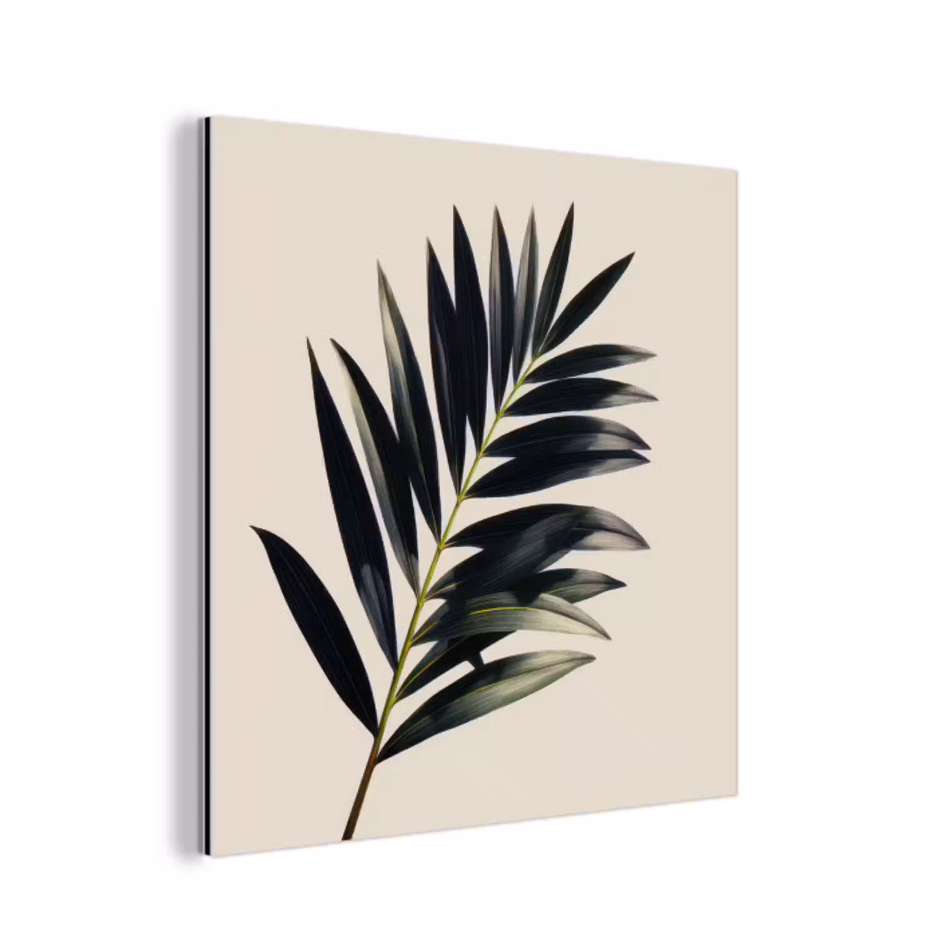 Palmblad - Subtiel - Groen - beige aluminium wit klein -3d