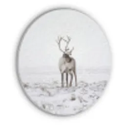 Rendier - Gewei - Sneeuw - Winter Akoestische PET Vilt - Rond klein -3d