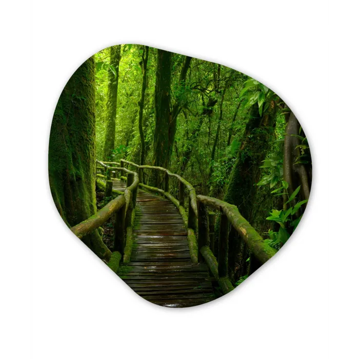 Jungle - Brug - Mos - Natuur - Tropisch Wandcirkel Organisch Forex 3mm klein -3d