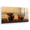 Schotse hooglanders - Heide - Landschap - Dieren plexiglas 5mm klein -zzzproduct_nieuw