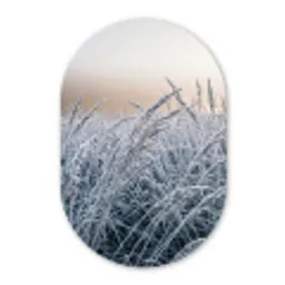 Rijp - Gras - Kristallen - Winter - Minimalistisch Wandcirkel Ovaal Aluminium middel -3d