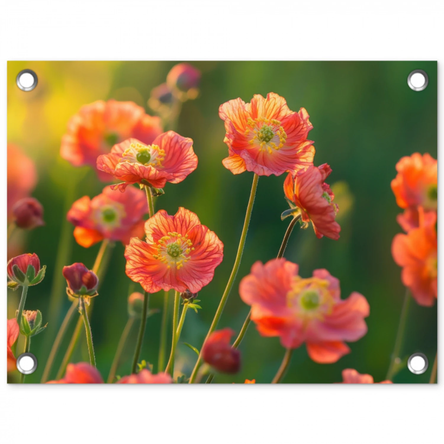 Bloemenveld - Zonnestralen - Oranje tuinposter los doek klein -3d