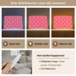 Ananas - Trendy - Roze Light Box met kabel (Tafellamp) klein 924 -USP_lichtkleurNL