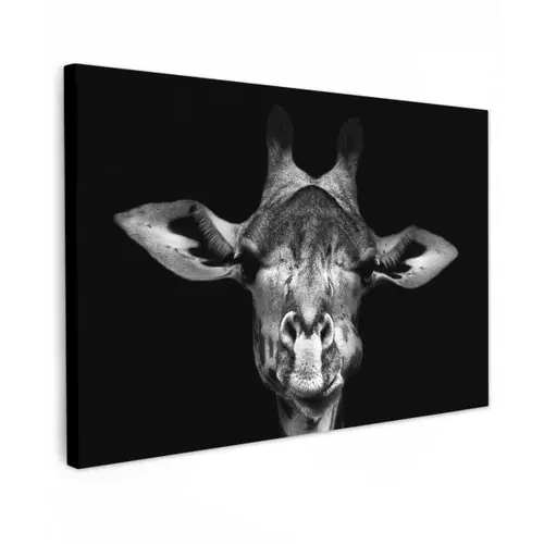 Giraffe portret in zwart-wit Tuinposter op houten frame 2 cm dik klein -3d